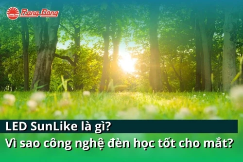 LED SunLike là gì? Vì sao đèn học sử dụng LED SunLike Rạng Đông được đánh giá là đèn học tốt cho mắt
